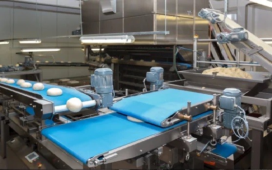 PU Inspection Conveyor